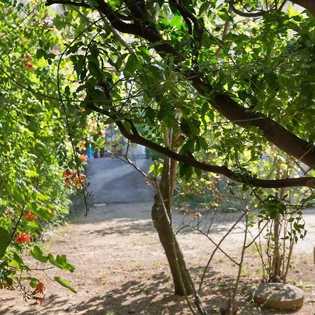 דרבניק Holiday Home Jovis מראה חיצוני תמונה