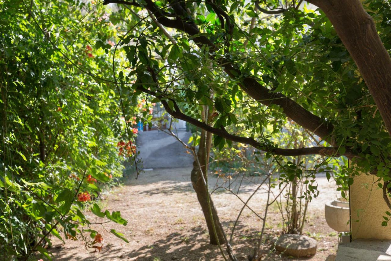 דרבניק Holiday Home Jovis מראה חיצוני תמונה